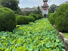 -四川大学(华西校区)