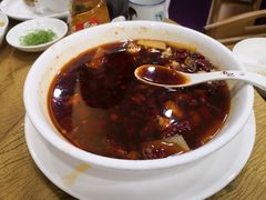 -寻味顺德·南记酒家·传统顺德菜·鱼生(广源路店)