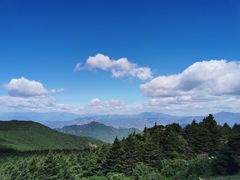 -白草畔自然风景区