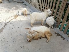 -广州长隆飞鸟乐园