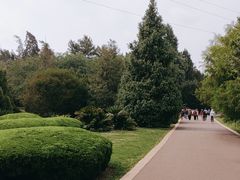-昆明植物园