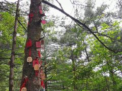-苍山感通索道