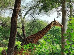 -北京野生动物园