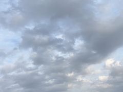 -上海佘山国家森林公园西佘山园