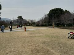 -径山花海