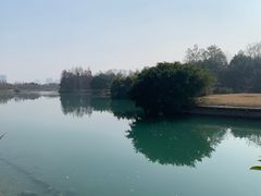 -三垟湿地