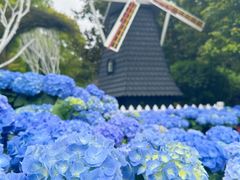 -上海鲜花港