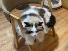 -白兔子密室(长寿路店)