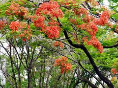-荔香公园