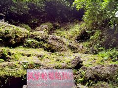 -海口火山口国家地质公园