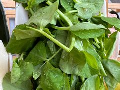 -云南野生菌石锅鱼石锅鸡(大金塔店)