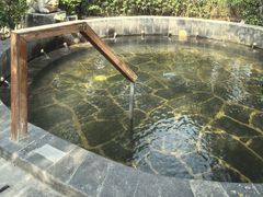 -西安国际创新人才交流中心•药浴温泉