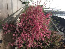 梵音瑜伽(旺座店)-FineYoga梵音瑜伽·普拉提