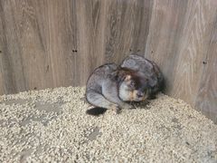 -后院犇牛主题餐厅(云岗店)