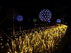 -怡海公园(桂城街道)