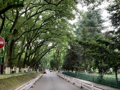 -岳麓山风景名胜区