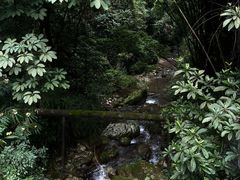 -峨眉山报国寺