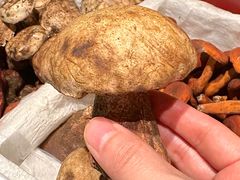 -缘生态云南菜·野生菌庭院餐厅(华侨城店)