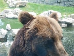 -北京野生动物园