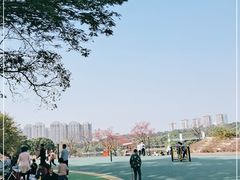 -东莞植物园