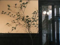 -小巨场咖啡