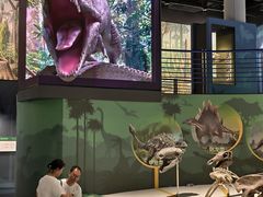 -国家自然博物馆