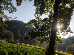 -韶山毛泽东同志故居