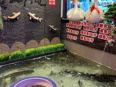 -山河屯铁锅炖(哈西站店)