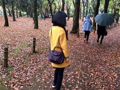 -汉拿树木园