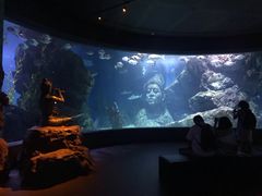 -暹罗海洋世界