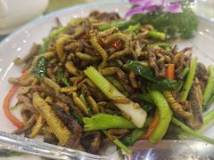 -蠔门宴海鲜城·阳江特色菜