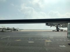 -上海浦东国际机场-T2航站楼