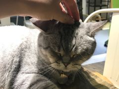 -小时光咖啡馆(开森度假森林店)