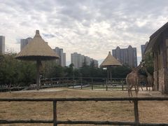 -南昌动物园
