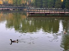 -古塔公园