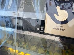 -猫的魔法密林(衣裳街店)