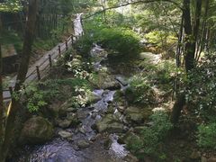 -藏龙百瀑风景区