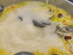 -草墩罗非鱼庄•野生菌•腊排骨(七星街上段店)