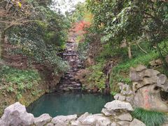 -十八棵（老龙井）御茶园(老龙井店)