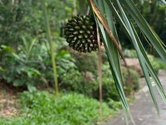 -海南文笔峰盘古文化旅游区