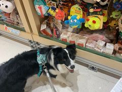 -帕帕拉兹宠物(亚洲旗舰店)