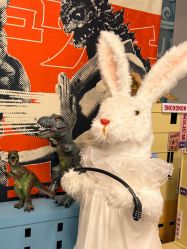 -大象视觉摄影工作室