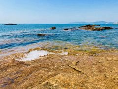 -青岛第二海水浴场