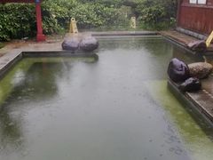 -中铁花水湾温泉酒店(大邑店)