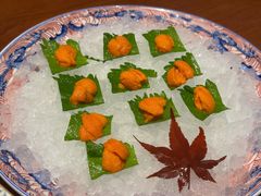 -月龍吟(朝龙汇店)