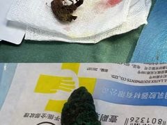 -科道动物医院·急重症中心(万达院)