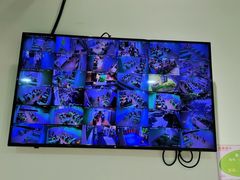 -学知乐教育·幼小衔接·小学科辅导(嘉定镇校区)