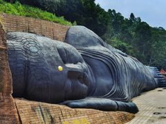 -三水森林公园