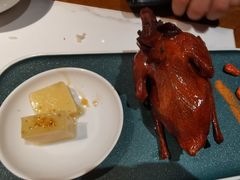 红烧乳鸽-大鸽饭(岗顶店)