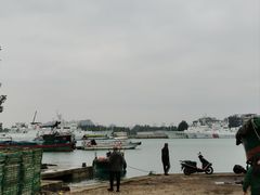 -东郊椰林